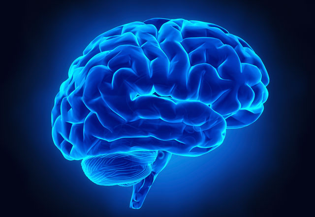 10 Secrets For Keeping Your Brain Healthy and Young